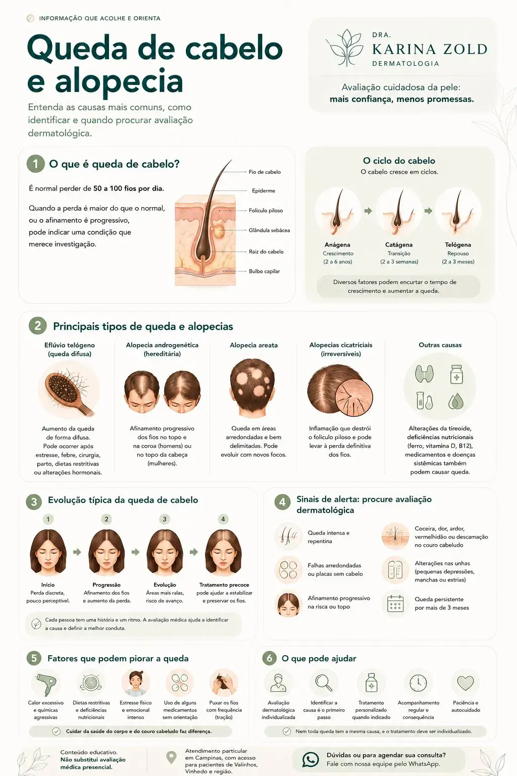 Infográfico sobre queda de cabelo e alopecia: tipos, ciclo capilar, evolução e sinais de alerta — Dra. Karina Zold